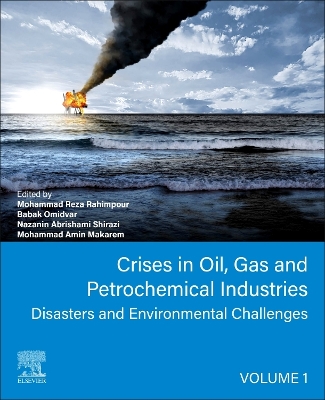 Crises in Oil, Gas and Petrochemical Industries: Disasters and Environmental Challenges book