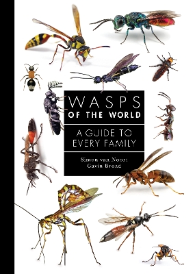 Wasps of the World: A Guide to Every Family book
