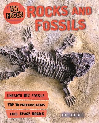 In Focus: Rocks and Fossils book