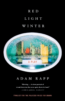 Red Light Winter book