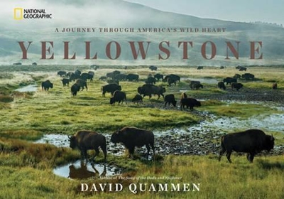 Yellowstone book