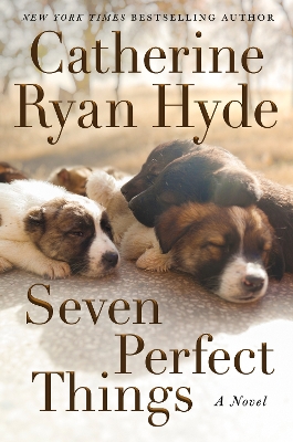 Seven Perfect Things: A Novel book