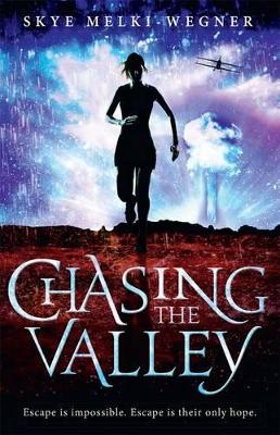 Chasing the Valley book