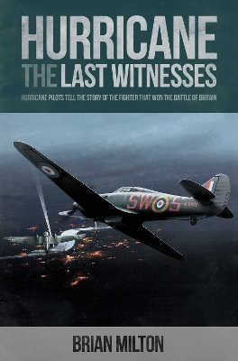 Last Witnesses: Hurricane book