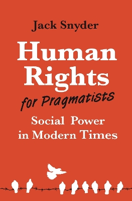 Human Rights for Pragmatists: Social Power in Modern Times book