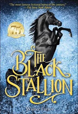 Black Stallion book