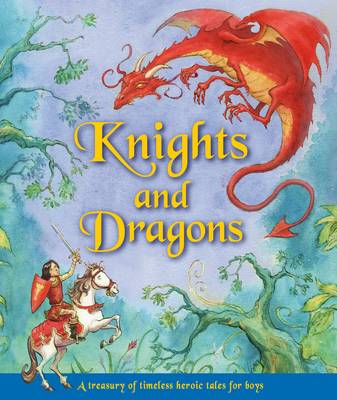 Knights and Dragons (B) book