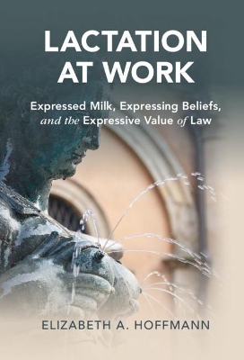 Lactation at Work: Expressed Milk, Expressing Beliefs, and the Expressive Value of Law book