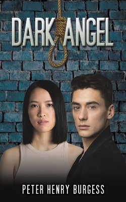 Dark Angel book