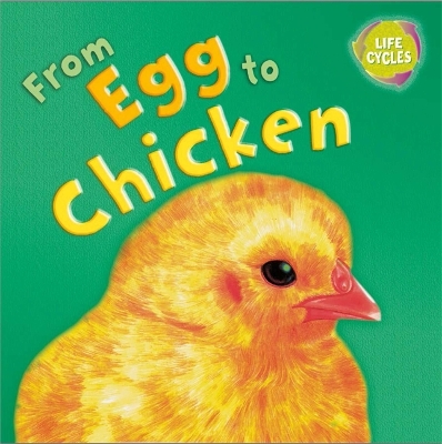 Lifecycles: From Egg To Chicken book