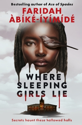 Where Sleeping Girls Lie book
