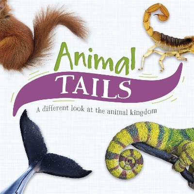Animal Tails: A different look at the animal kingdom book