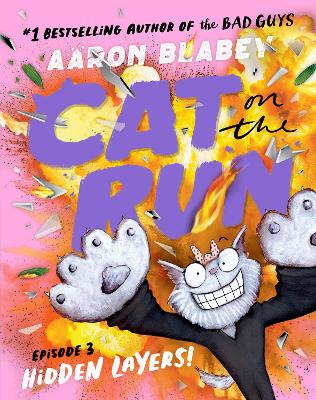 Hidden Layers! - Cat on the Run book