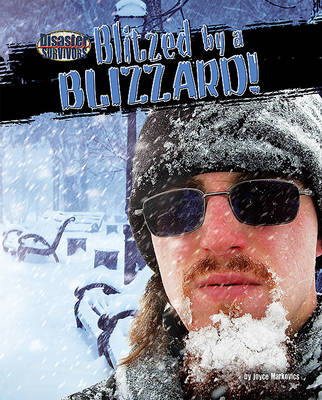 Blitzed by a Blizzard! book