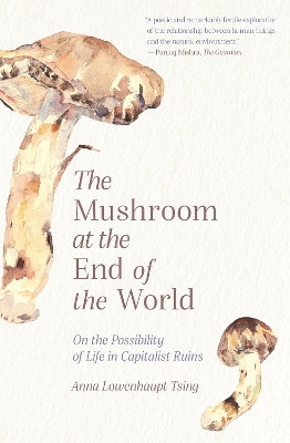 The Mushroom at the End of the World: On the Possibility of Life in Capitalist Ruins book
