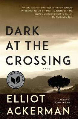 Dark at the Crossing book