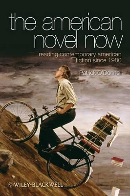 American Novel Now book