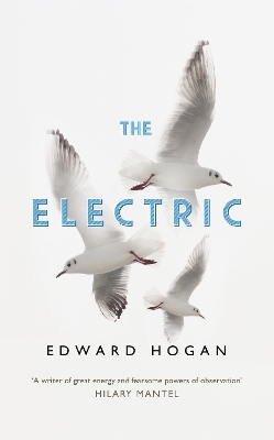 Electric book
