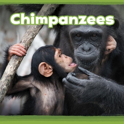 Chimpanzees by Kathryn Clay