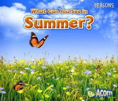 What Can You See in Summer? (Seasons) by Sian Smith