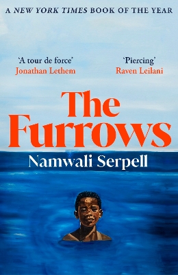 The Furrows: From the Prize-winning author of The Old Drift by Namwali Serpell