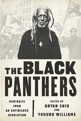 Black Panthers book