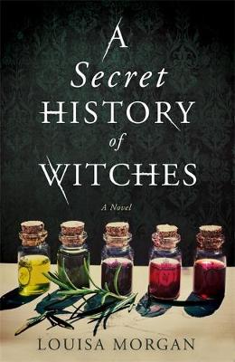 Secret History of Witches book