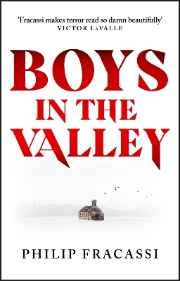Boys in the Valley: THE TERRIFYING AND CHILLING FOLK HORROR MASTERPIECE book