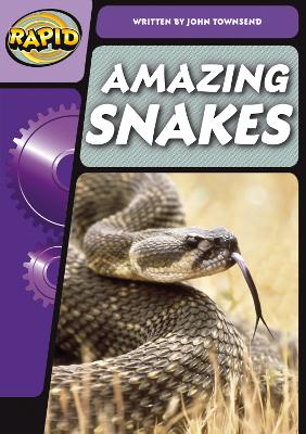 Rapid Phonics Snake Superpowers Step 3 (Non-fiction) book
