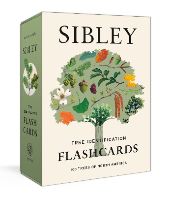 The Sibley Tree Identification Flashcards: 100 Trees of North America by David Allen Sibley