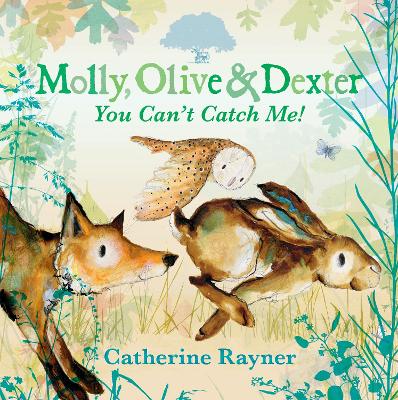 Molly, Olive and Dexter: You Can't Catch Me! by Catherine Rayner