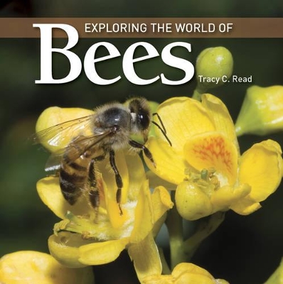 Exploring the World of Bees book