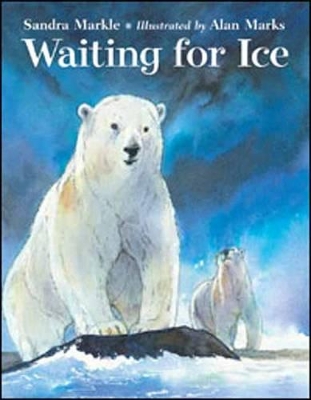 Waiting For Ice book