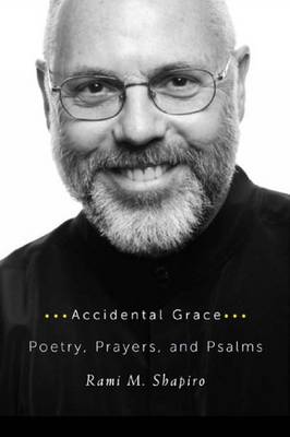 Accidental Grace book