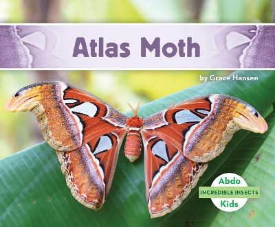 Incredible Insects: Atlas Moth book