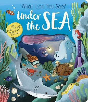 What Can You See? Under the Sea book