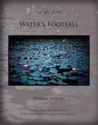 Water's Footfall book