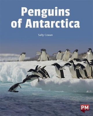 Penguins of the Antarctica book