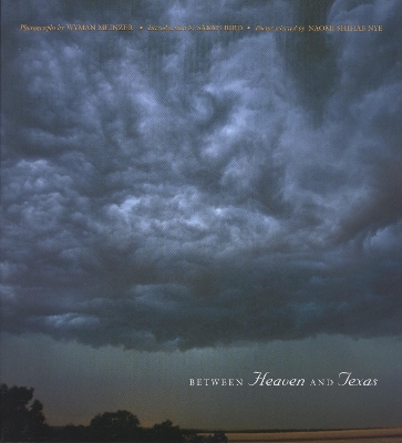 Between Heaven and Texas book