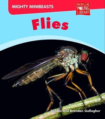 Mighty Minibeasts: Flies by Debbie Gallagher