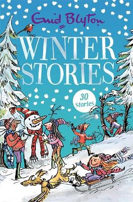 Winter Stories book