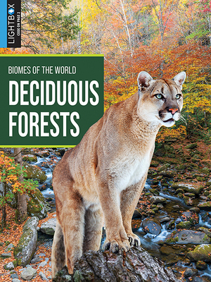 Deciduous Forests by Jennifer Hurtig