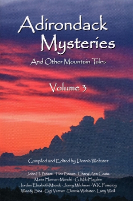 Adirondack Mysteries: And Other Mountain Tales by Dennis Webster