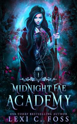 Midnight Fae Academy: Book One book