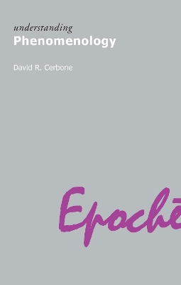 Understanding Phenomenology by David R. Cerbone