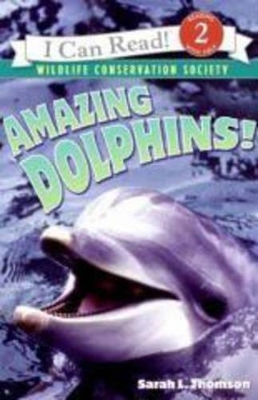 Amazing Dolphins! book