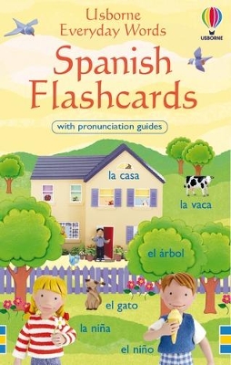 Everyday Words in Spanish Flashcards book