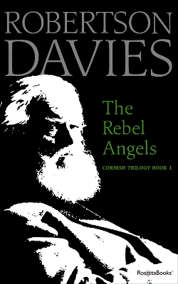 The Rebel Angels book
