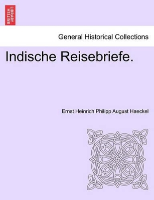 Indische Reisebriefe. book