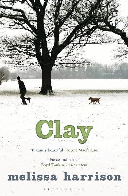 Clay book